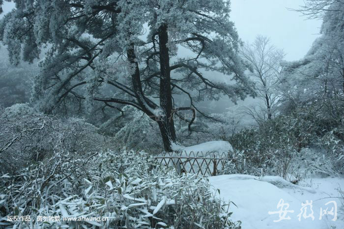 戴好帽子賞雪景黃山